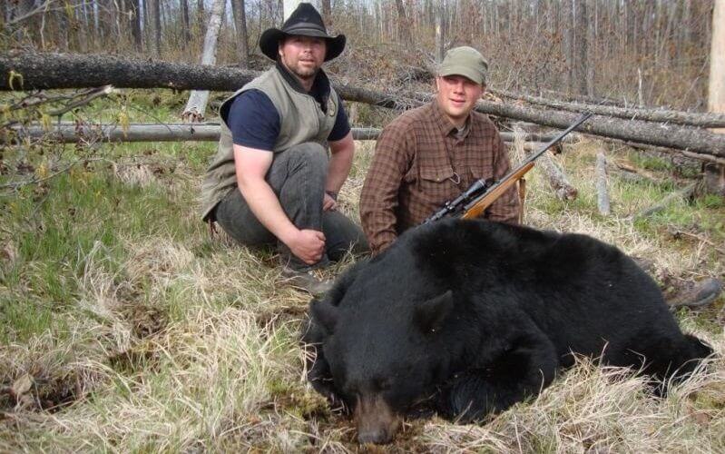 Black Bear Hunting in Canada For Non-Residential - AlphaDog Outdoors